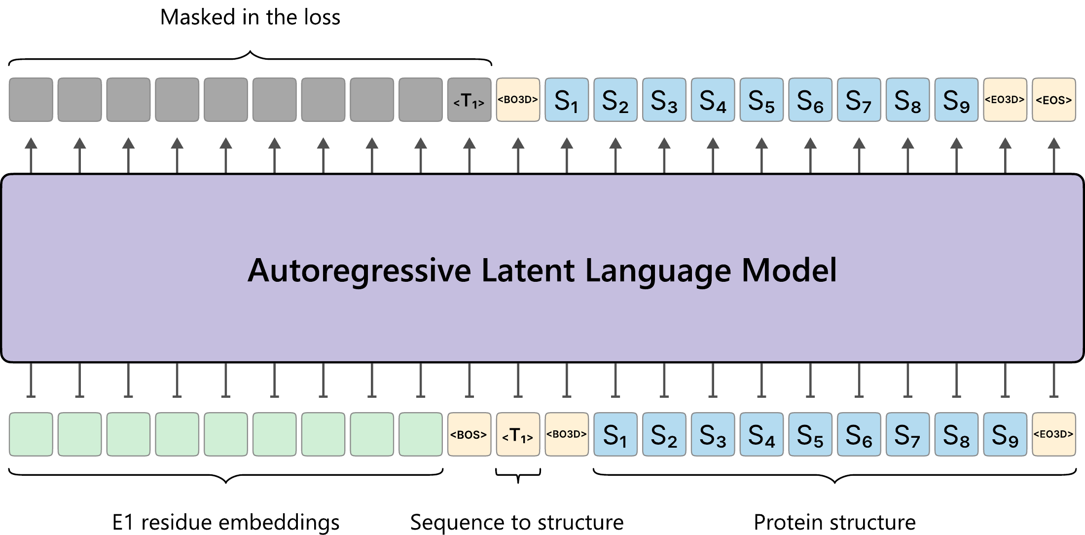 Sequence-to-structure model architecture